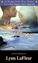 PerfectPleasure_3